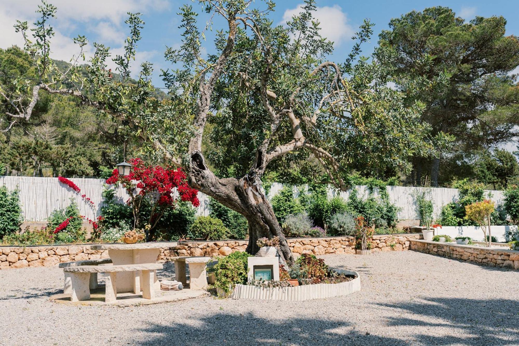 Villa Pep Gibert Ibiza Town